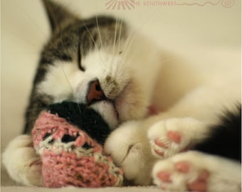 Sample Pack Catnip Cat Toys - All Proceeds Donated