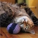 Catnip Cat Toys - All Proceeds Donated