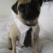 Custom Dress Shirt and Tie Set - Small to Medium sized dogs