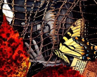 Angels and Insects-Limited Edition Print no 3/50
