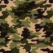 Robert Kaufman Patriots Jungle Camo Fabric - By the Yard