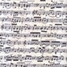 Timeless Treasures Staff Lines and Notes Cream Fabric - Reserved for SewMuchDetail