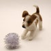 Commission a Needle Felted Likeness of your Dog or Cat - Custom Order ANY Dog or Cat OOAK