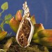 Turritella Pendant