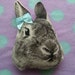Fluffy Poofy Kawaii Bunny Brooch