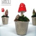Cute little thimble garden - Tiny potted toadstools and snail shell on a mossy lawn