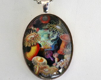Sea anemone NECKLACE sea creatures ocean underwater fantasy large 40x30mm glass domed pendant