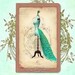 The Peacock Bustle Moleskine Cahier