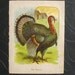 Antique Turkey Print 1930s Thanksgiving lithograph paper