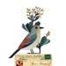 Bird No.21