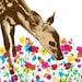 little fawn print