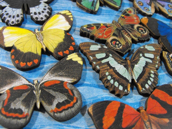 Wood Medium Sized Butterflies