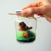 Woodland Robin - Mini Habitat Jar