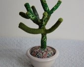 stuffed succulent