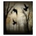 8X10 Gothic Crows Fog Ravens Gothic Trees Photograph