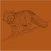 Vintage Fox shirt Illustration Graphic Animal Nature T-shirt (S,M,L,XL,XXL AVAIILABLE)
