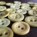 Vintage Bone underwear buttons - Civil War Era