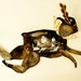 Leaping Sea Rabbit DIY Articulated Paper Doll / Hinged Beasts Series