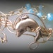 Whisper of Summer Dolphin Bracelet