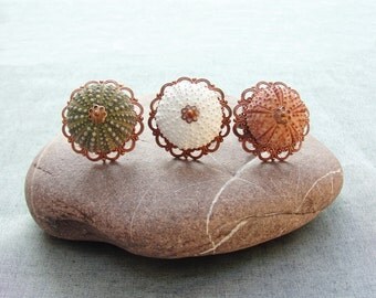 Sea Urchin Collection - Vintage Copper Ring - Pick Your Color -Green White Pink