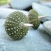 Sea Urchin Collection - Spikey Green Earrings