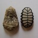 RESERVED Crocheted Lace Stone, Black Fern Stone, Handmade by Monicaj