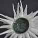 Anemone Sculpture Bowl in Moss Green OOAK