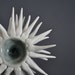 Anemone Sculptural Bowl in Grey Sky Crackle OOAK