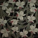 Small Size Cotton 'Black Orchid' Furoshiki Japanese Fabric w/Free Shipping