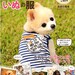 45 Dogs Clothes for Extra Small to Medium Size Dogs - Japanese Craft Book