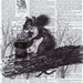 Squirrel, Antique Book Page Prints, French.Gift / Repurposed Vintage. tree, home decor, Paris, buy 3 get 1 FREE, Affordable Art