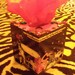 The Velvet Underground live at Max's Kansas City TISSUE BOX HOLDER Cool Stuff Made From Records