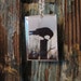 Crow Necklace