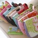 iPhone Case/Mini Purse (Your Choice of Fabric) Reserved for Federica