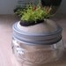 Moss Jar 7 (reserved for blissinateacup)