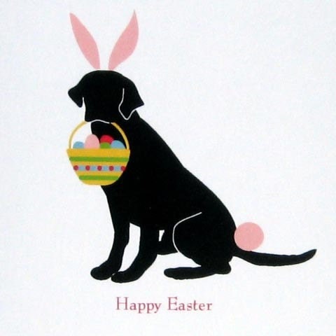 easter bunny lab happy cards