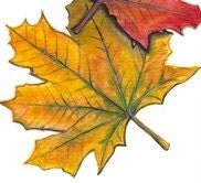 Original Acrylic Painting Autumn Maple Leaves