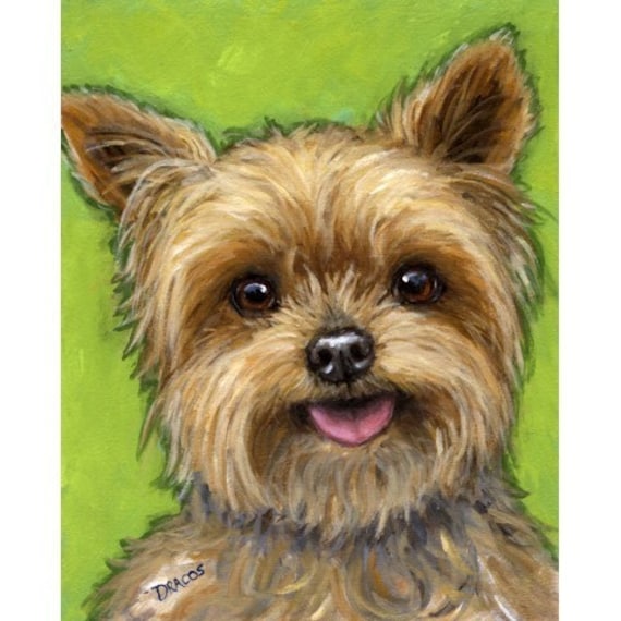 Yorkshire Terrier Dog Art 8x10 or 11x14 Print of by DottieDracos