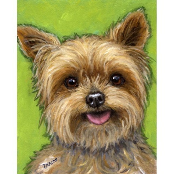 Yorkshire Terrier Dog Art Print of Original Painting by Dottie