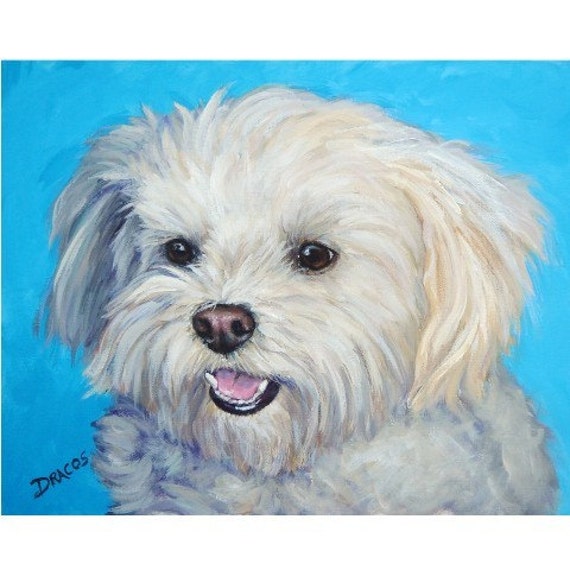 Maltese Art Print of Original Acrylic Dog Painting by Dottie