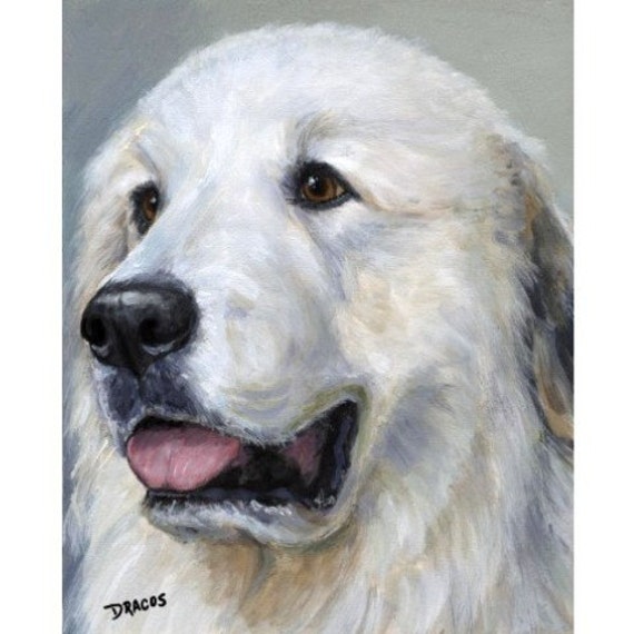 Great Pyrenees Dog Art Print of Original Painting by Dottie
