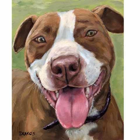 Pit Bull Art Print of Original Painting Red Nose with White