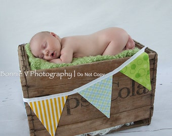 SALE, Boy Fabric Bunting 5 Large Flags. Banner, Photo Prop. Designer's Choice Boy Themed Flag Banner, Yellow, Green, Blue.