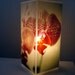 Clearance DISCONTINUED Orchid Table Lamp - Seduction - Pink Floral Polaroid Photo - Unique Housewarming Gift, Home Decor, Functional