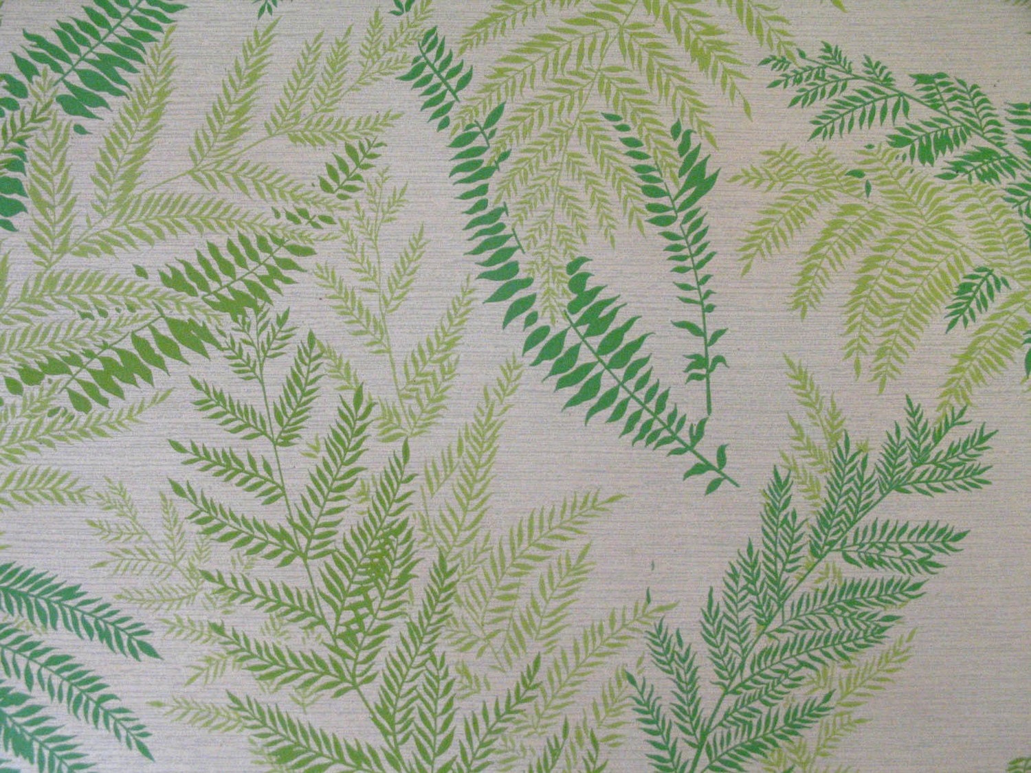 Vintage Fern Leaf Wallpaper Green Silhouette HD Wallpapers Download Free Map Images Wallpaper [wallpaper376.blogspot.com]