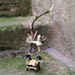 Faery Sea Sprite Chair With Treasure Chest Key