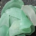 Genuine Sea Glass Supply, 13 pcs