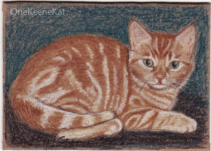 realistic red tabby cat cat coloring pages realistic red tabby cat cat coloring pages