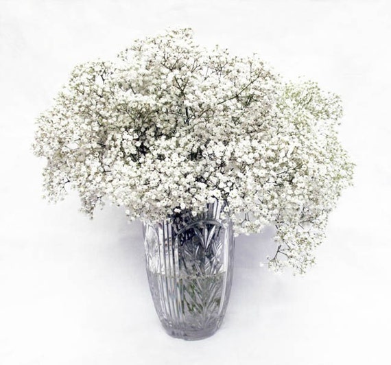 Items similar to Winter White Baby's Breath Flower Bouquet Fine Art