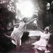 Isadora Dancers 2 Teen Girls Ballet at Sunset Greeting Card